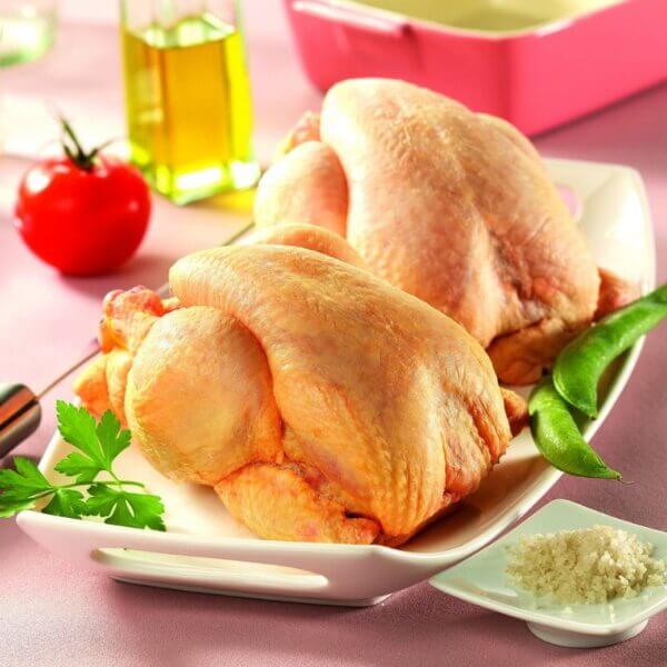 Coquelet